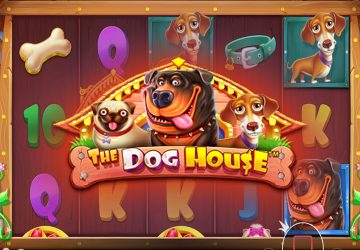 NOVOMATIC - игровой автомат онлайн от Various с RTP 96.16%